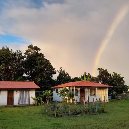 Cabanas Isla De Pascua ハンガ・ロア エクステリア 写真
